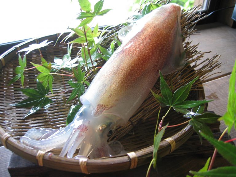 須佐みこといか