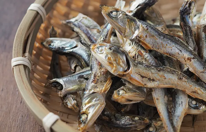 いりこ・ちりめん