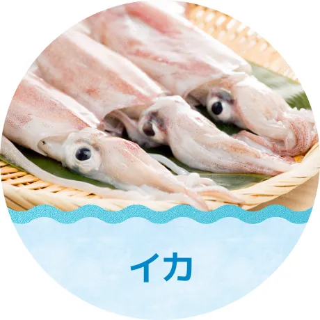 イカ